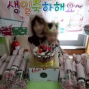 루아어린이집 네이버블로그