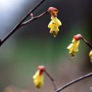 성남시립식물원 이미지