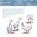 장수유황오리 이미지