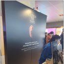 벨톤 보청기 광천지사 | [공지] 이천보청기 벨톤보청기 2025 포럼참가 소리로 뇌를 깨우다.