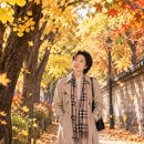 시월愛 숲은 느리게 걸어야 제맛이다 - 悠悠희 이미지