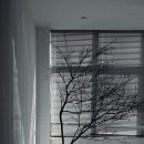 영천샤시 이미지