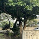 앳제주 | 제주공항숙소| 제주 이호테우 해수욕장 갓성비 감성숙소 앳코너 101호 내돈내산후기