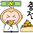 도전블랙벨트센터