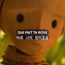 누군가의 꽃 이미지