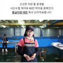 ６６번중매인
