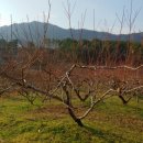 샛골농장 이미지