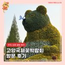 정오교통(주) | 2025 고양국제꽃박람회 방문 후기 주차, 입장권할인 꿀팁 정리