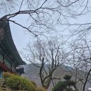 2026년 3월 15일 천안의 명산 광덕산을 산행함 이미지