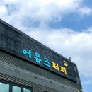 왜관공단운동장내 화장실(하) | 천안성정동] 성정동 애견카페, 애견유치원 ‘어뮤즈 퍼피’ 소형견 대형견 분리되어 있는 운동장 애견카페