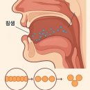 아제아제빵 이미지