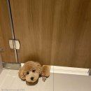 엄마사랑화장실 이미지