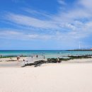 월정라움 | ☀️ 2025년 여름, 국내 여름휴가 추천 여행지 TOP 5 🌴