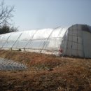 신송1리마을회관 이미지