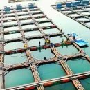 수진좌대 이미지