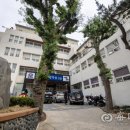 울릉이당 이미지