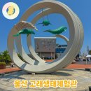 울산 장생포고래생태체험관 돌고래쇼 실내 아이와 가볼만한곳 모노레일