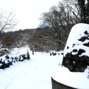 교래자연휴양림야영장 이미지