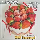 하피케이크 | 천안 신방동 딸기 케이크 맛집 하피 딸기 홀케이크 후기