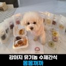 몽몽까까 이미지