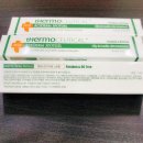 엠에스엔 이미지