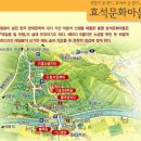 [클릭하세요] 새하얀 메밀꽃 세상, 효석문화마을 + 동화속 예쁜 나라, 허브나라농원 이미지