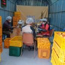 지리산해달원 이미지