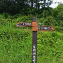 천천면오연삼거리 네이버블로그