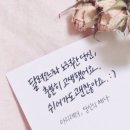 소연다육이