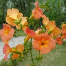 삼거리 공원내 이미지