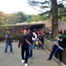 [벙개] 가을 단풍 끝물 즐기자 과천 동물원 벙개~ 이미지
