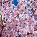 장대어린이놀이터 이미지