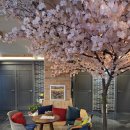 슈퍼타이 | 목포 용해동 마사지 추천 슈퍼타이에서 제대로 힐링하고 온 후기