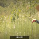 이유농장 이미지