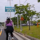 비봉습지공원 티스토리