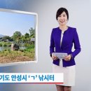 개나리낚시터 이미지