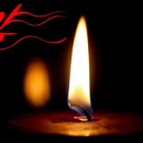 캘리그라피(야) 이미지