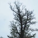 나리민박 이미지