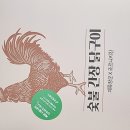 DMZ캠핑장 이미지
