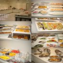 파티앤 캣 이미지