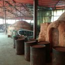 양지파인리조트 이미지