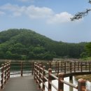 축령산편백나라 이미지