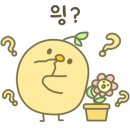 대신카인테리어 이미지