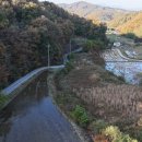 여주-1080 이미지