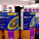 드럭스토어동행 - 여주시 | 드럭스토어동행