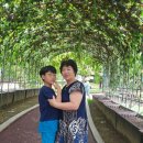 스완흑염소 이미지