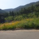구랑동