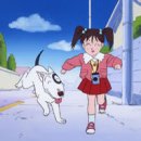 달려라 바우 이미지