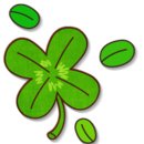 백마메디칼 이미지