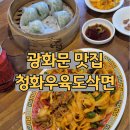 청화 | 광화문 종로 맛집 청화 우육도삭면 솔직 후기 피맛골 혼밥 술집 딤섬 우육면 중식당